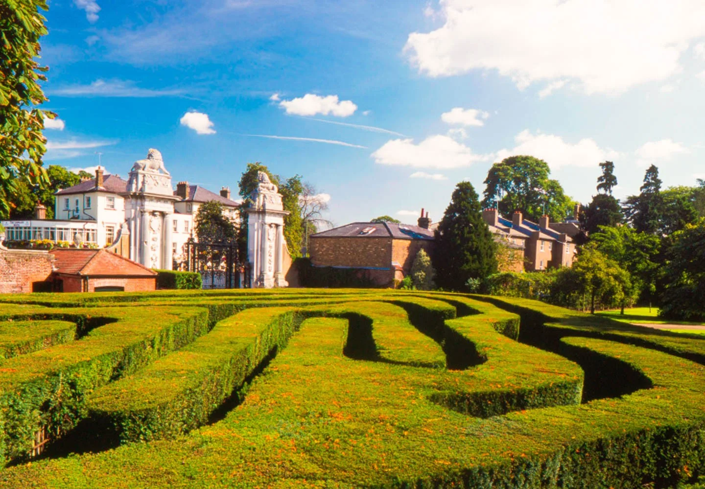 Hampton Court Palace formal garden and clipped hedges